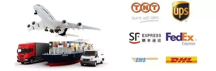 Shipping Processing