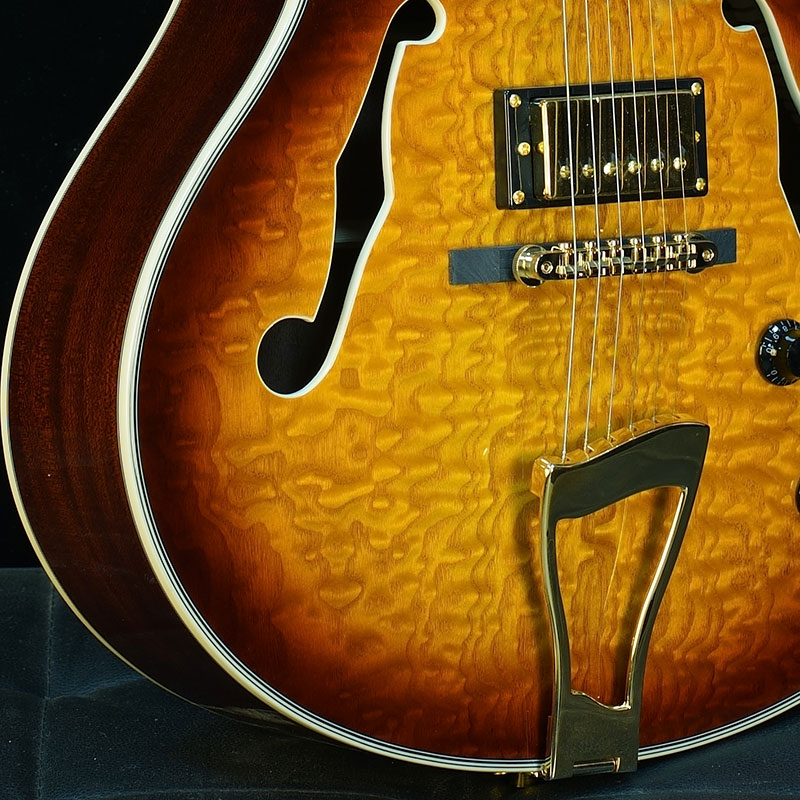 Classic F-Hole Hollow Body Electric Jazz Guitar Vintage Sunburst for Stage Show 2 Piece MOQ