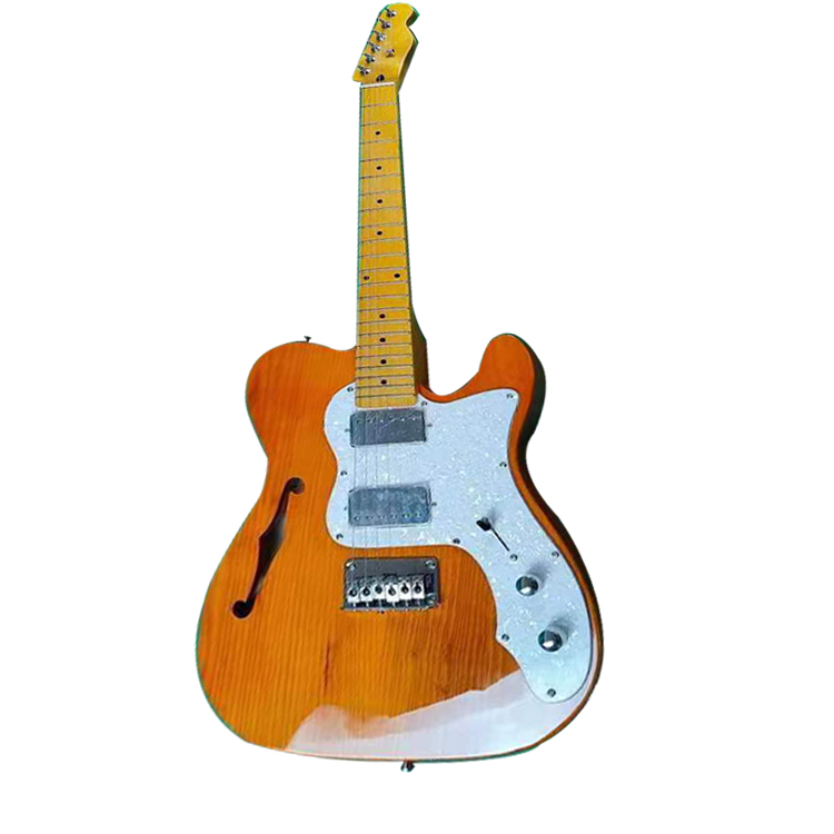 Electric Guitar Detail View 1