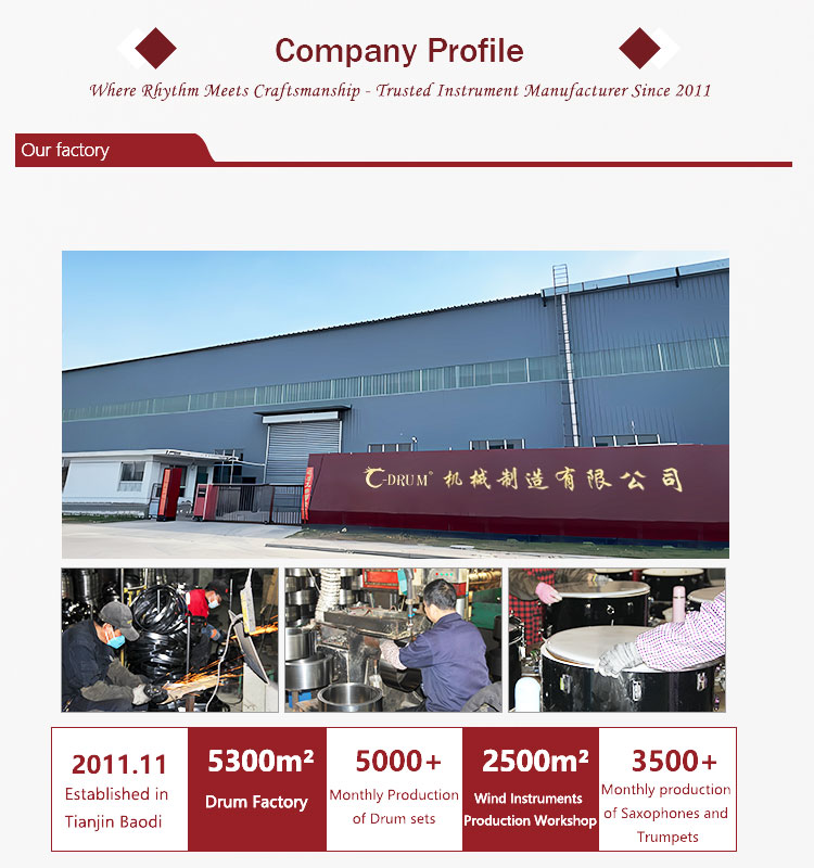 Company Profile View 1