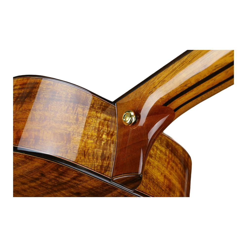 KAPOK G8B/G83B Solid Acacia Body Acoustic Guitar Folk Music Handcrafted Gloss Finish 6 D'Addario Steel Strings Mahogany Binding
