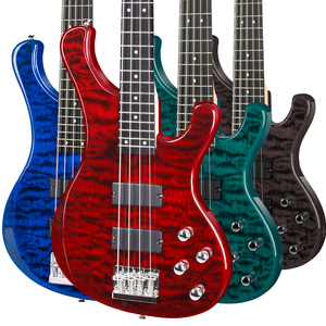 5 String Left Handed Electric Bass Guitar