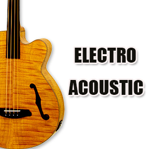 Electro Acoustic Basses
