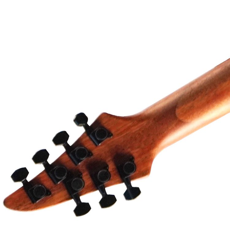 Electric Guitar Detail