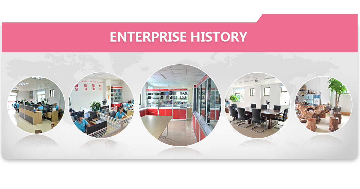 Company Overview 3