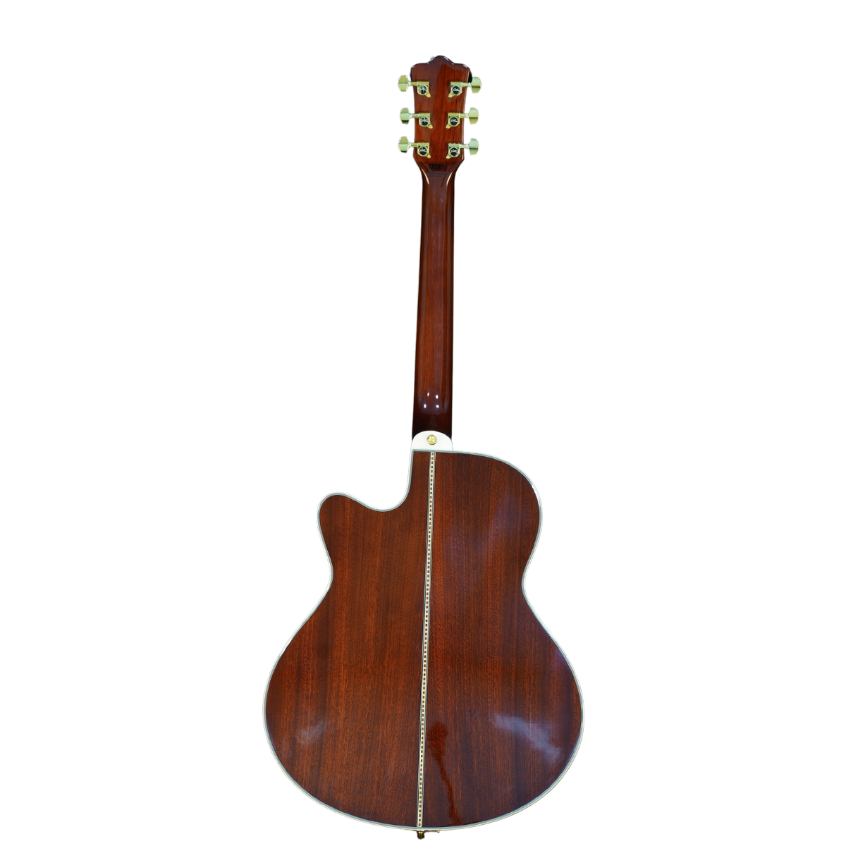 Classic F-Hole Hollow Body Electric Jazz Guitar