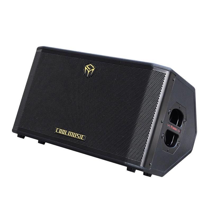 300-Watt Portable Outdoor Wood Amplifier Built-In Lithium Battery Reverb/Chorus Effects OTG Recording for Acoustic Guitar Use