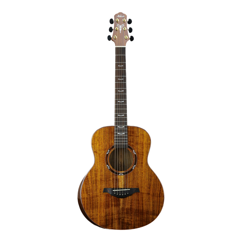 Guitar View 1