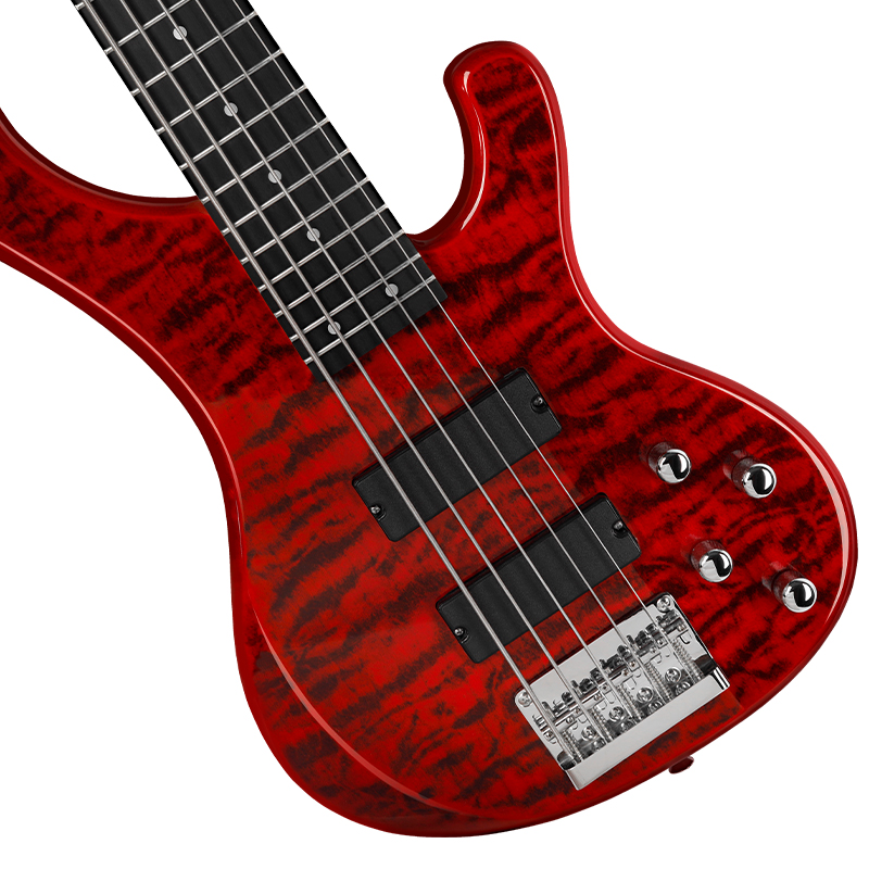 5 String Electric Bass Guitar Music Equipment Stringed Instrument Safinador De Bass Left Handed Electric Bass Guitar