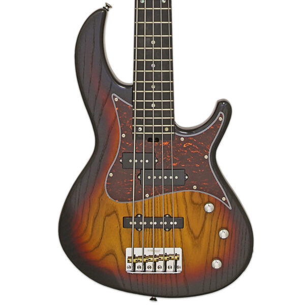 Aria Pro II 313-MK2/5 5-string electric bass