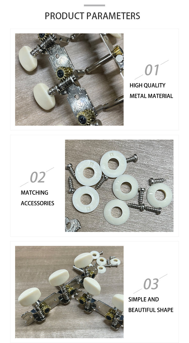 Guitar Accessory Detail 1