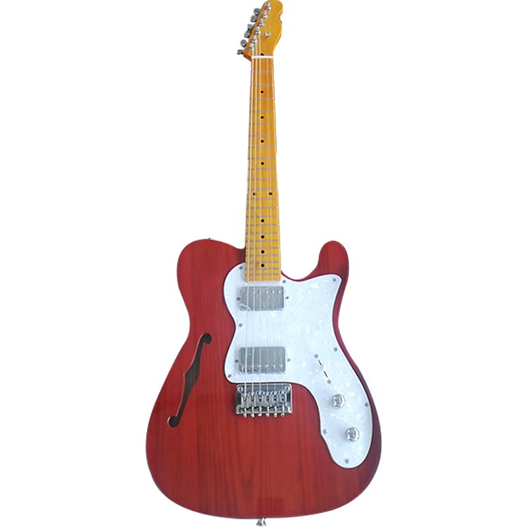 Electric Guitar Detail View 5