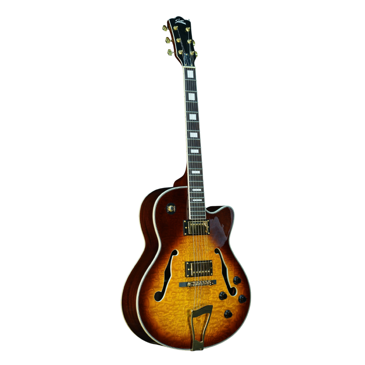 Classic F-Hole Hollow Body Electric Jazz Guitar