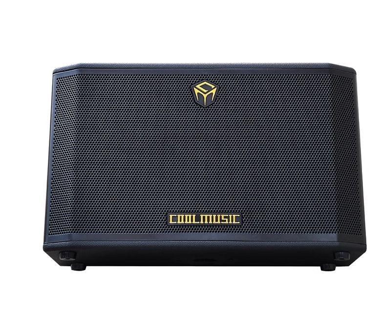 300-Watt Portable Outdoor Wood Amplifier Built-In Lithium Battery Reverb/Chorus Effects OTG Recording for Acoustic Guitar Use