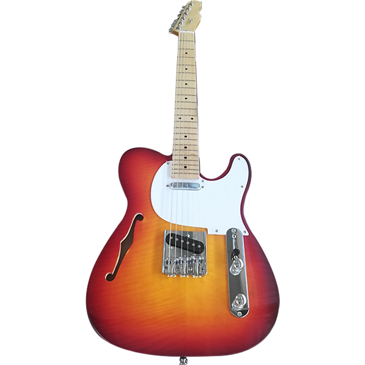 Electric Guitar Detail View 3