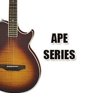 Aria APE Series stage electro acoustic guitar