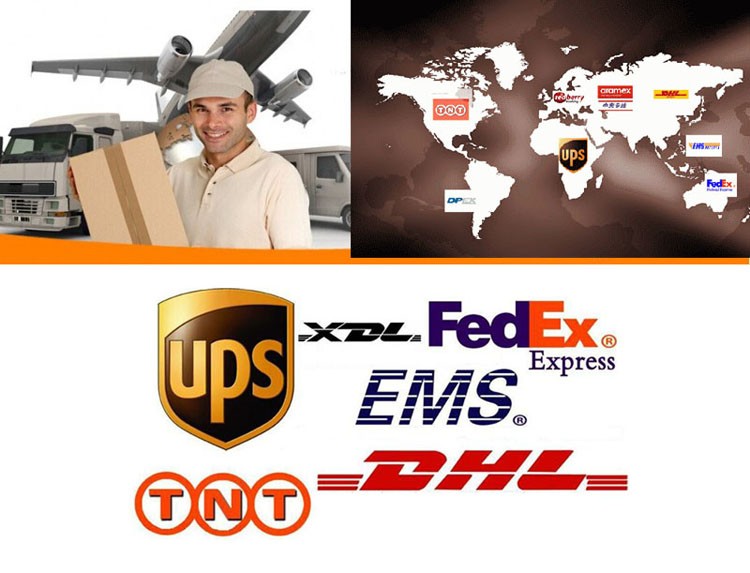 Shipping Express Logistics Carriers