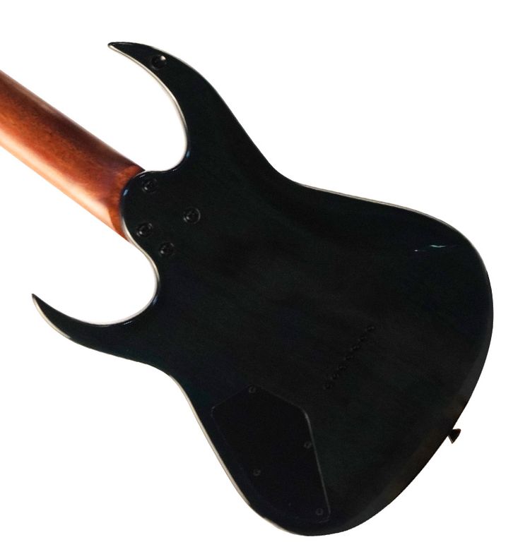 Electric Guitar Detail