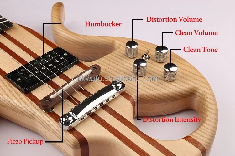 Electric Guitar Detail View 2