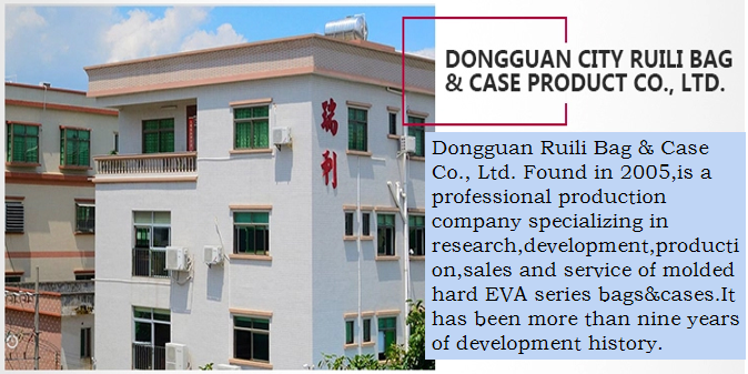 Company Overview 2