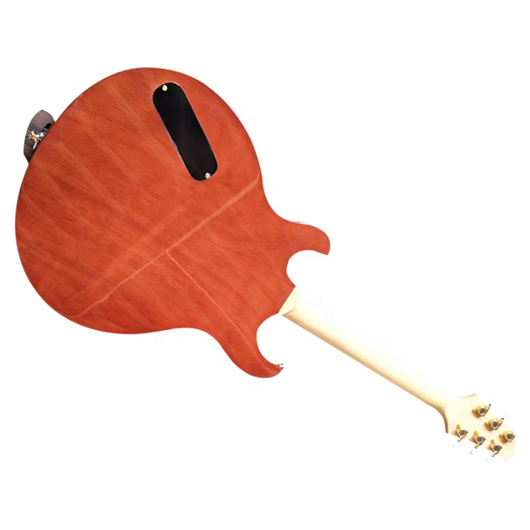 Guitar View 6