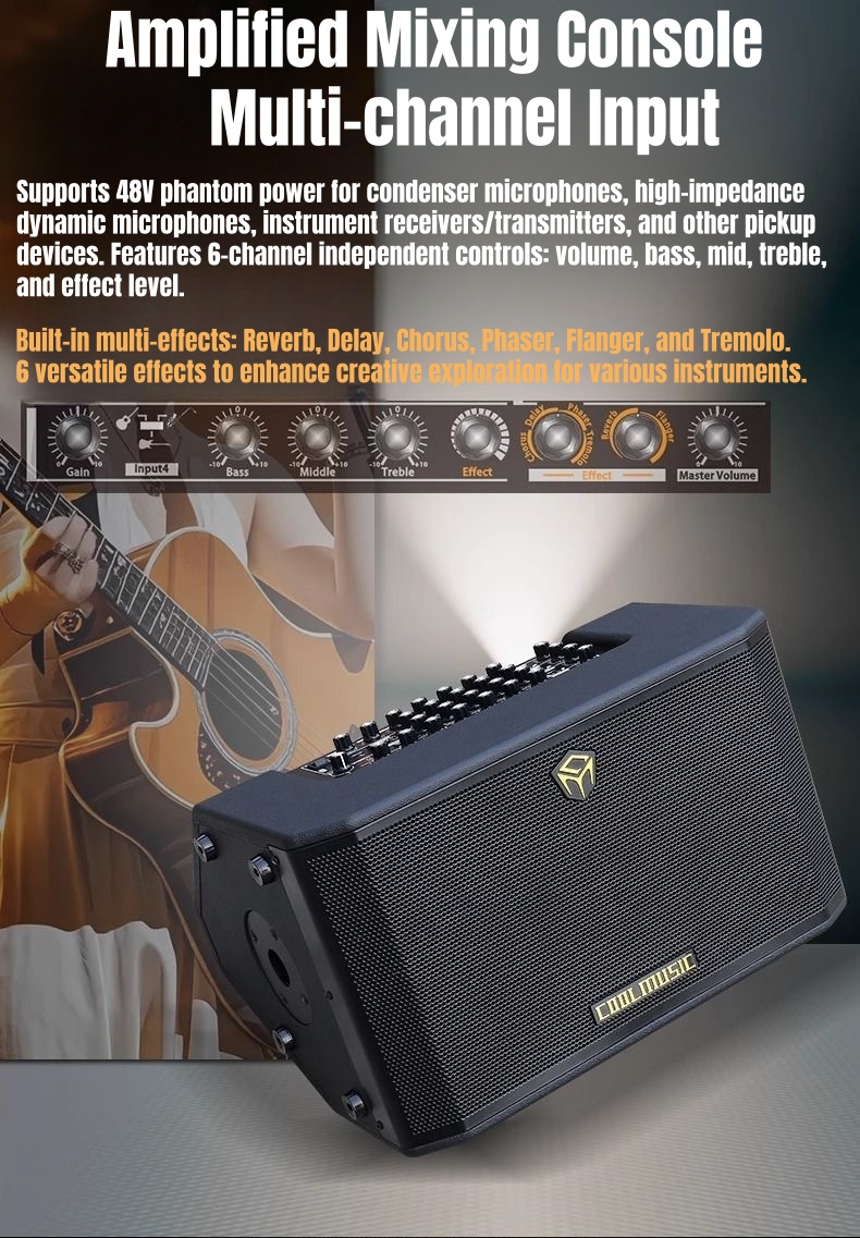 BP60D PLUS Acoustic Guitar Amplifier Detail 5