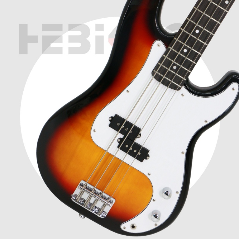 Electric Bass Detail 1