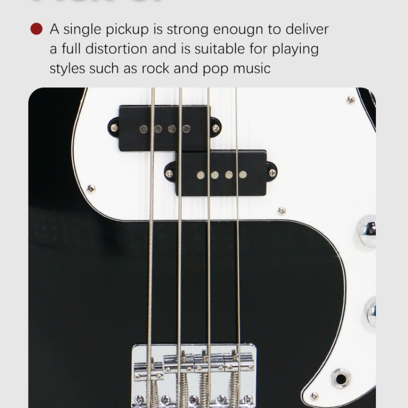 Electric Bass Detail 2