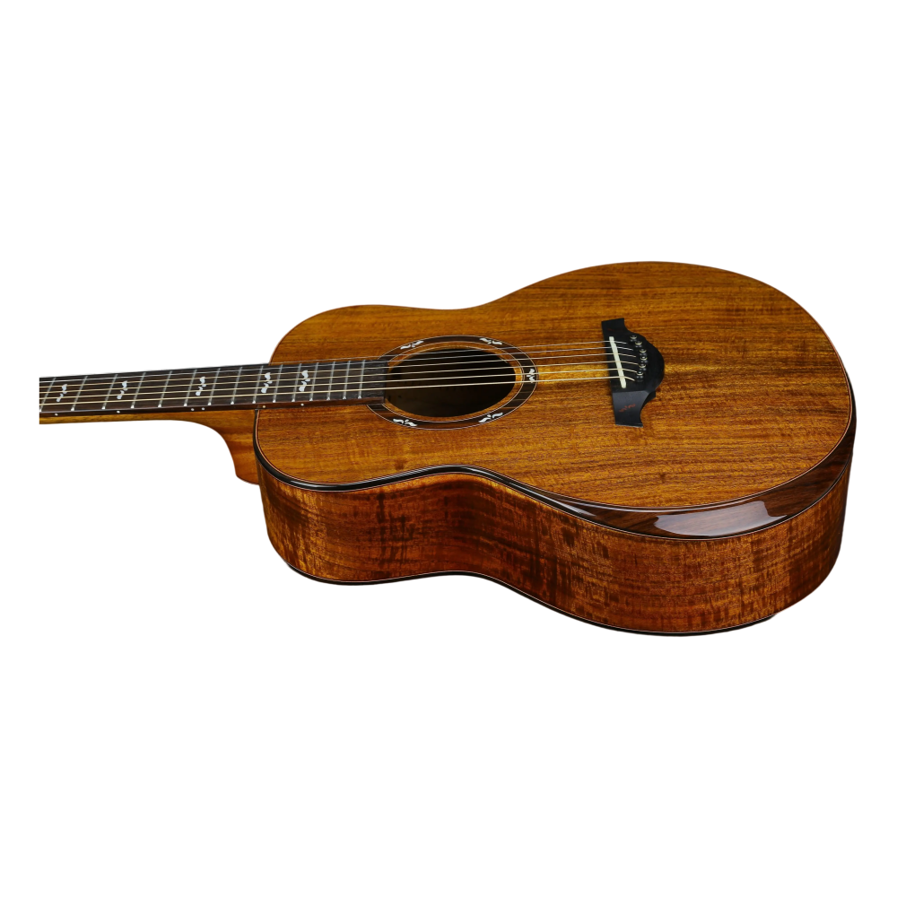 Guitar View 6