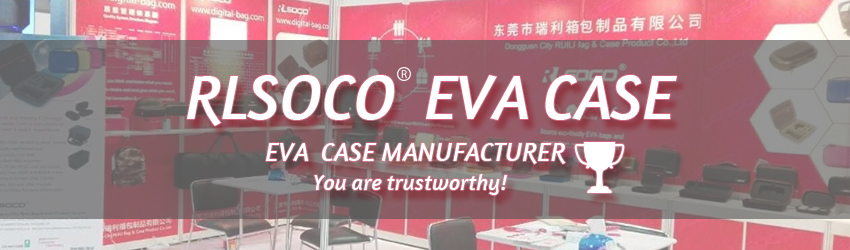 Eva Hard Guitar Case