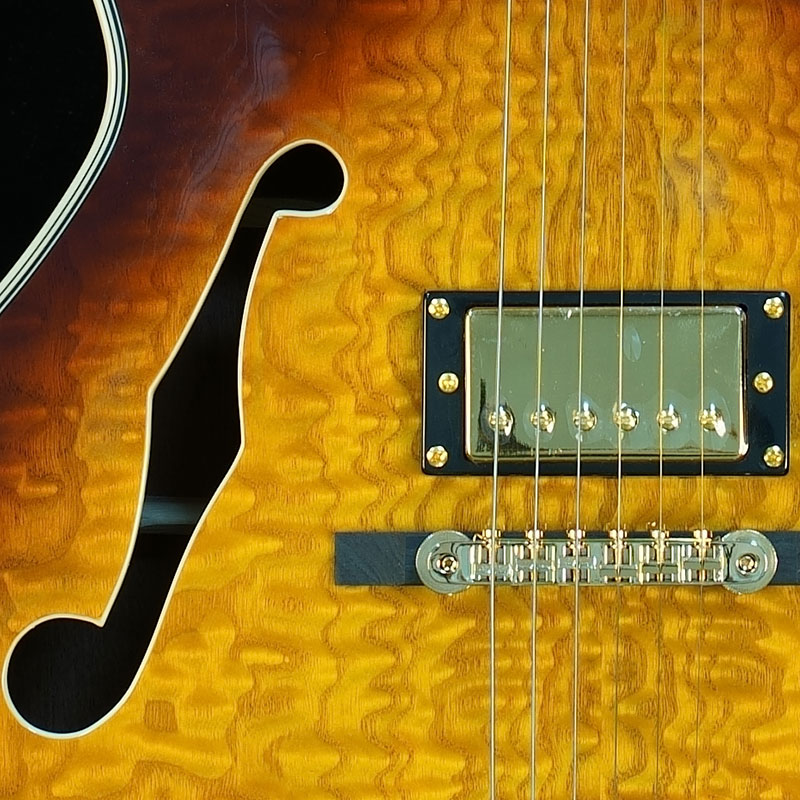 Classic F-Hole Hollow Body Electric Jazz Guitar Vintage Sunburst for Stage Show 2 Piece MOQ