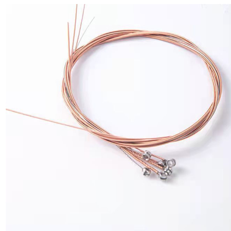 Acoustic Guitar String Detail 6