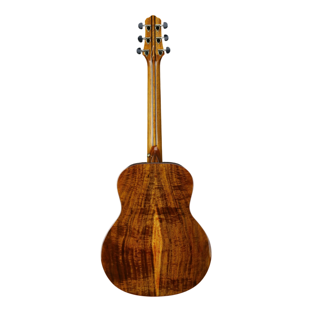 Guitar View 2